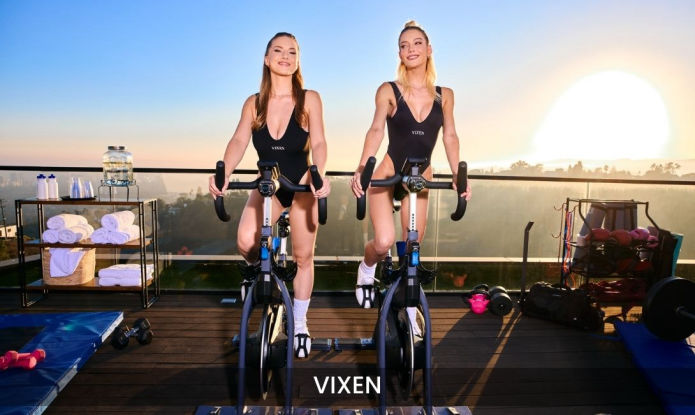 Vixen SFW- Annual Offer